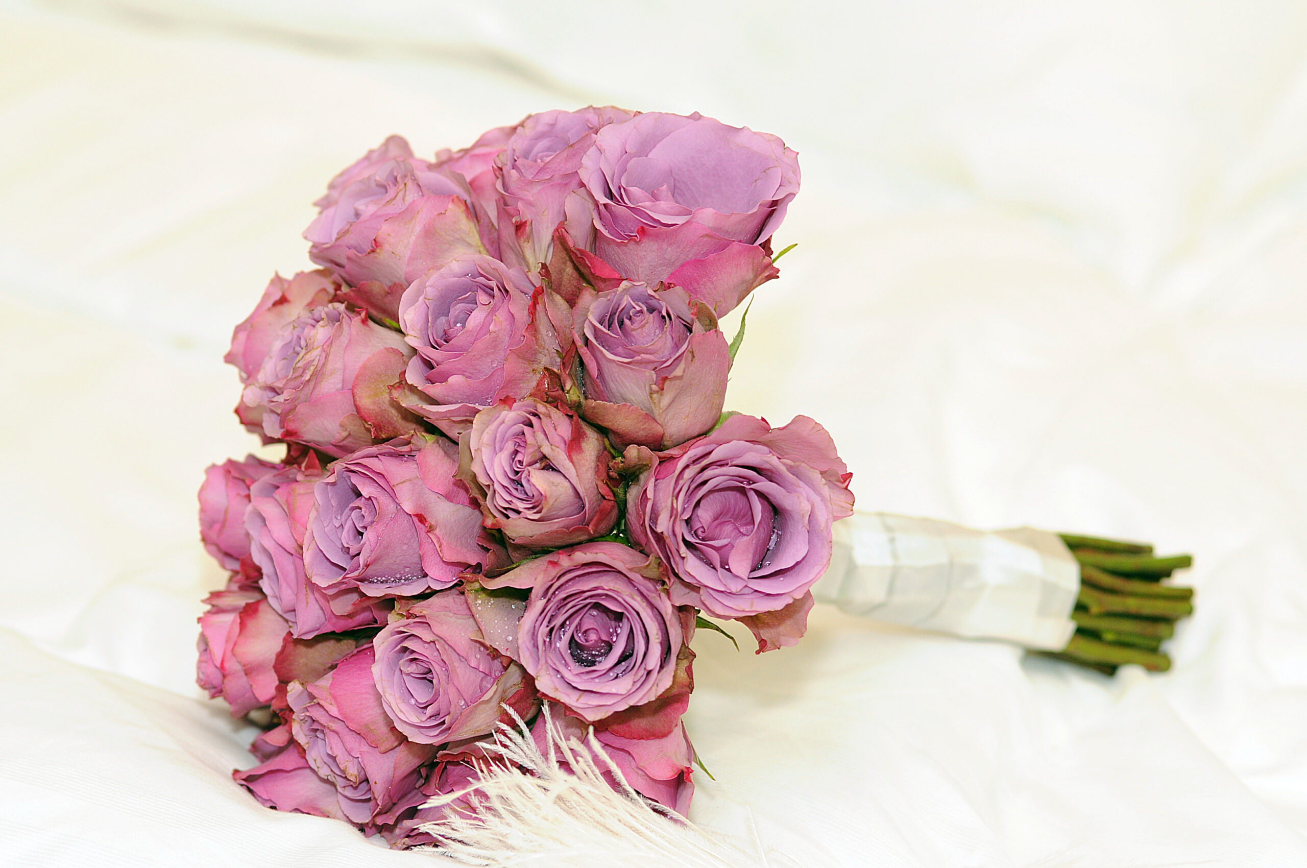 Wedding items, wedding photographers orlando fl